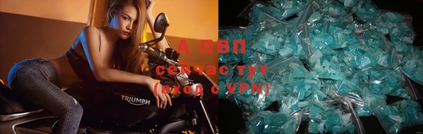 a pvp Лагань