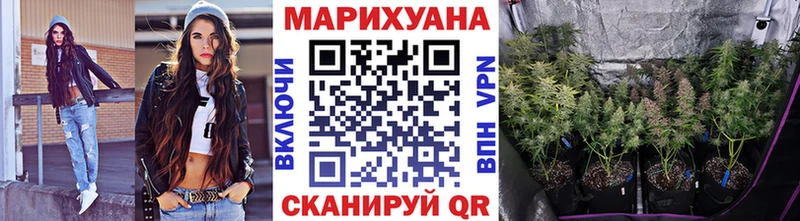МАРИХУАНА гибрид  Шумиха 